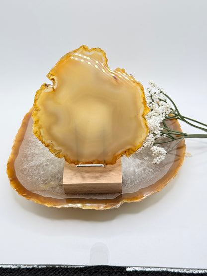 Brazilian Agate Slice – Natural Crystal for Energy & Décor - Auralis Crystals