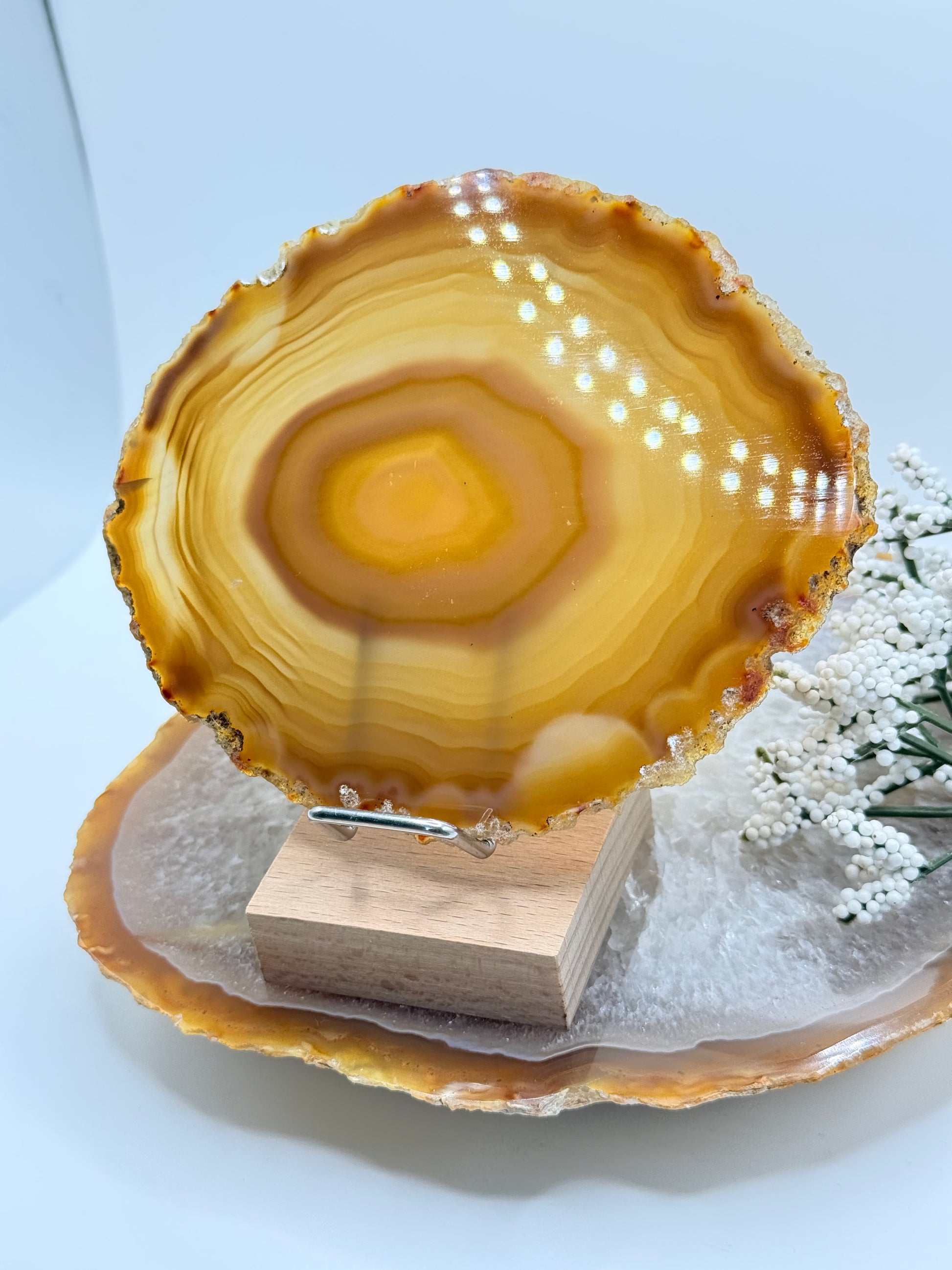 Brazilian Agate Slice – Natural Crystal for Energy & Décor - Auralis Crystals