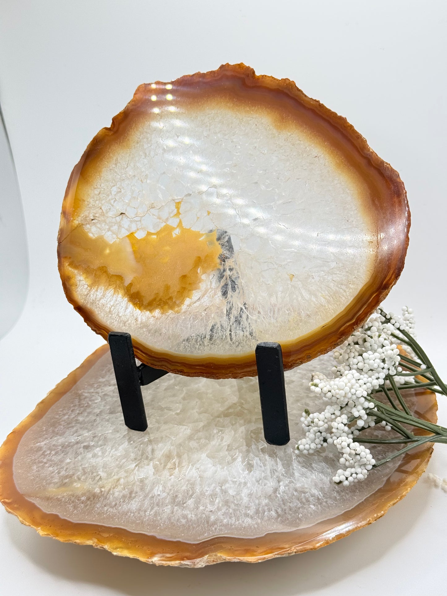 Brazilian Agate Slice – Natural Crystal for Energy & Décor - Auralis Crystals