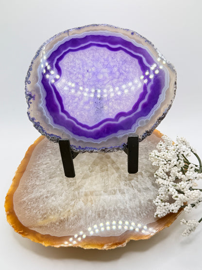 Brazilian Agate Slice – Natural Crystal for Energy & Décor - Auralis Crystals