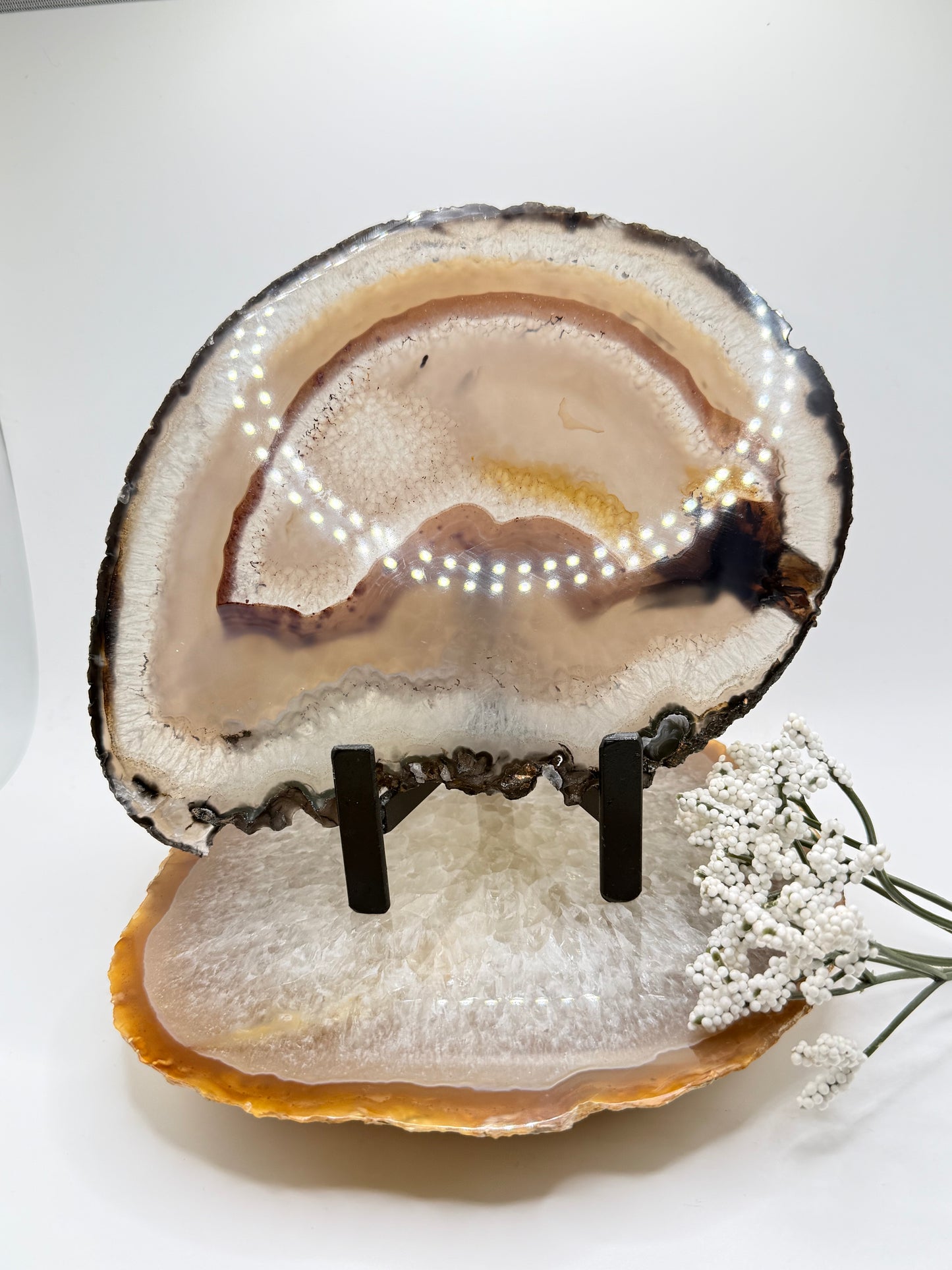 Brazilian Agate Slice – Natural Crystal for Energy & Décor - Auralis Crystals
