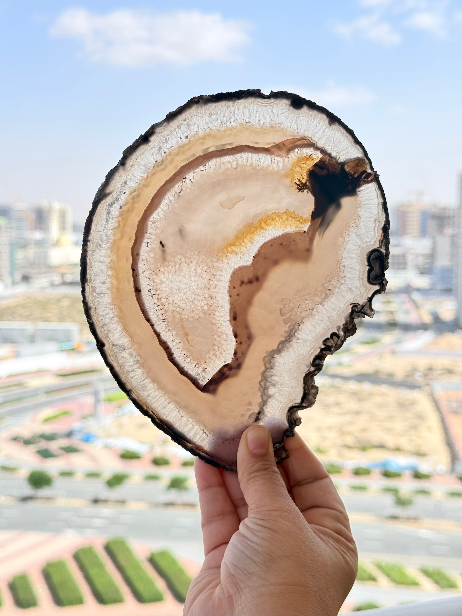 Brazilian Agate Slice – Natural Crystal for Energy & Décor - Auralis Crystals