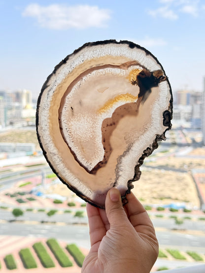 Brazilian Agate Slice – Natural Crystal for Energy & Décor - Auralis Crystals