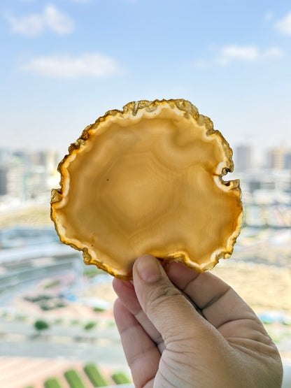 Brazilian Agate Slice – Natural Crystal for Energy & Décor - Auralis Crystals