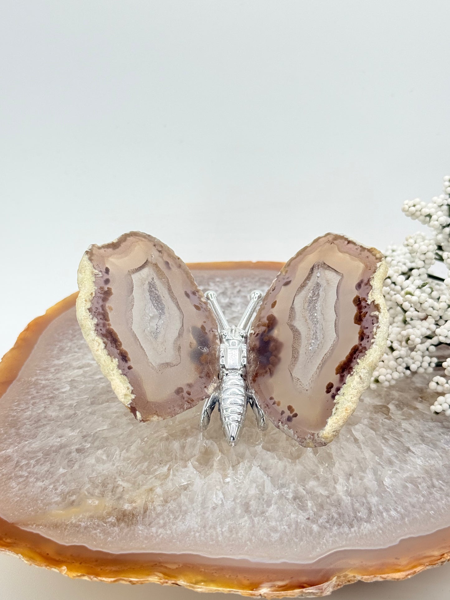 Natural Agate Slice Butterfly – Brazilian Crystal for Home Decor & Energy - Auralis Crystals