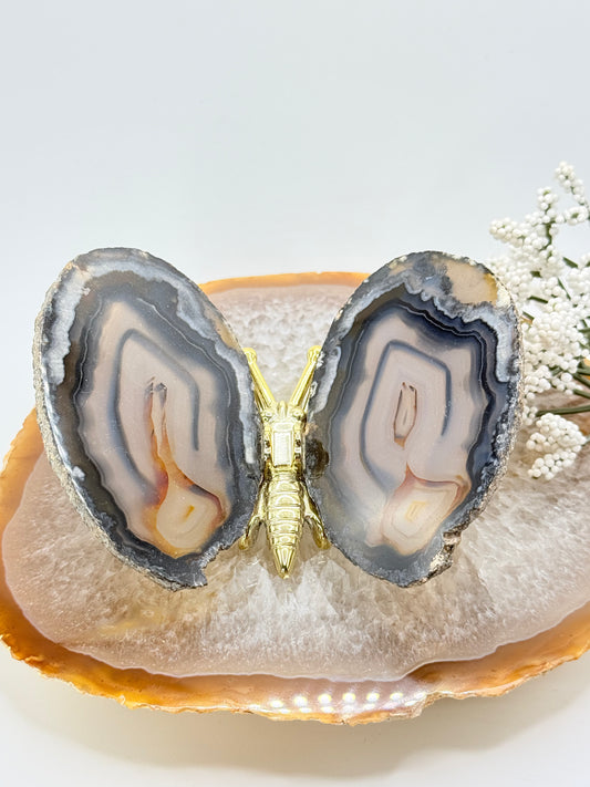 Natural Agate Slice Butterfly – Brazilian Crystal Décor for Balance & Positive Energy