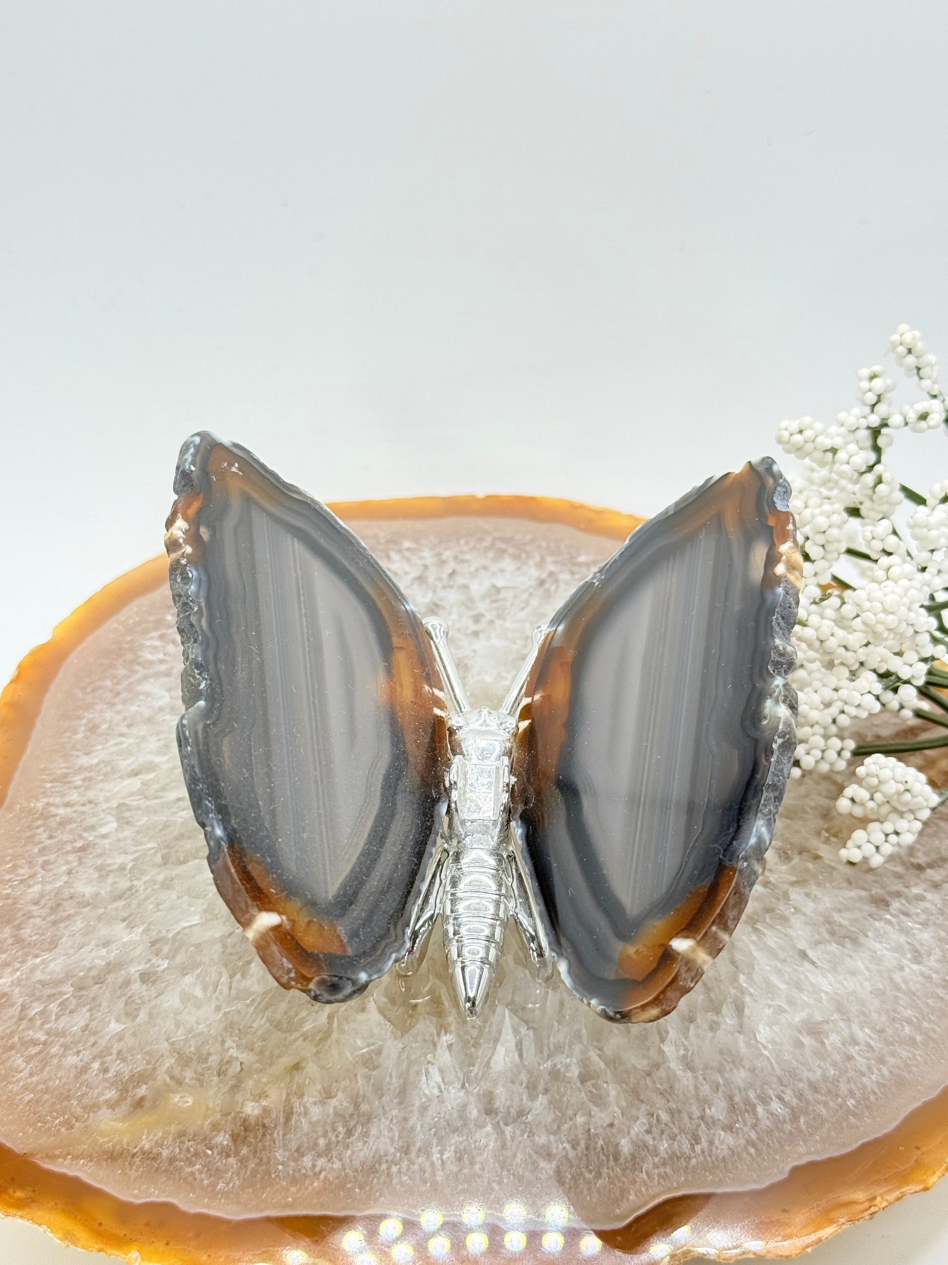 Natural Agate Slice Butterfly – Brazilian Crystal Art Piece - Auralis Crystals