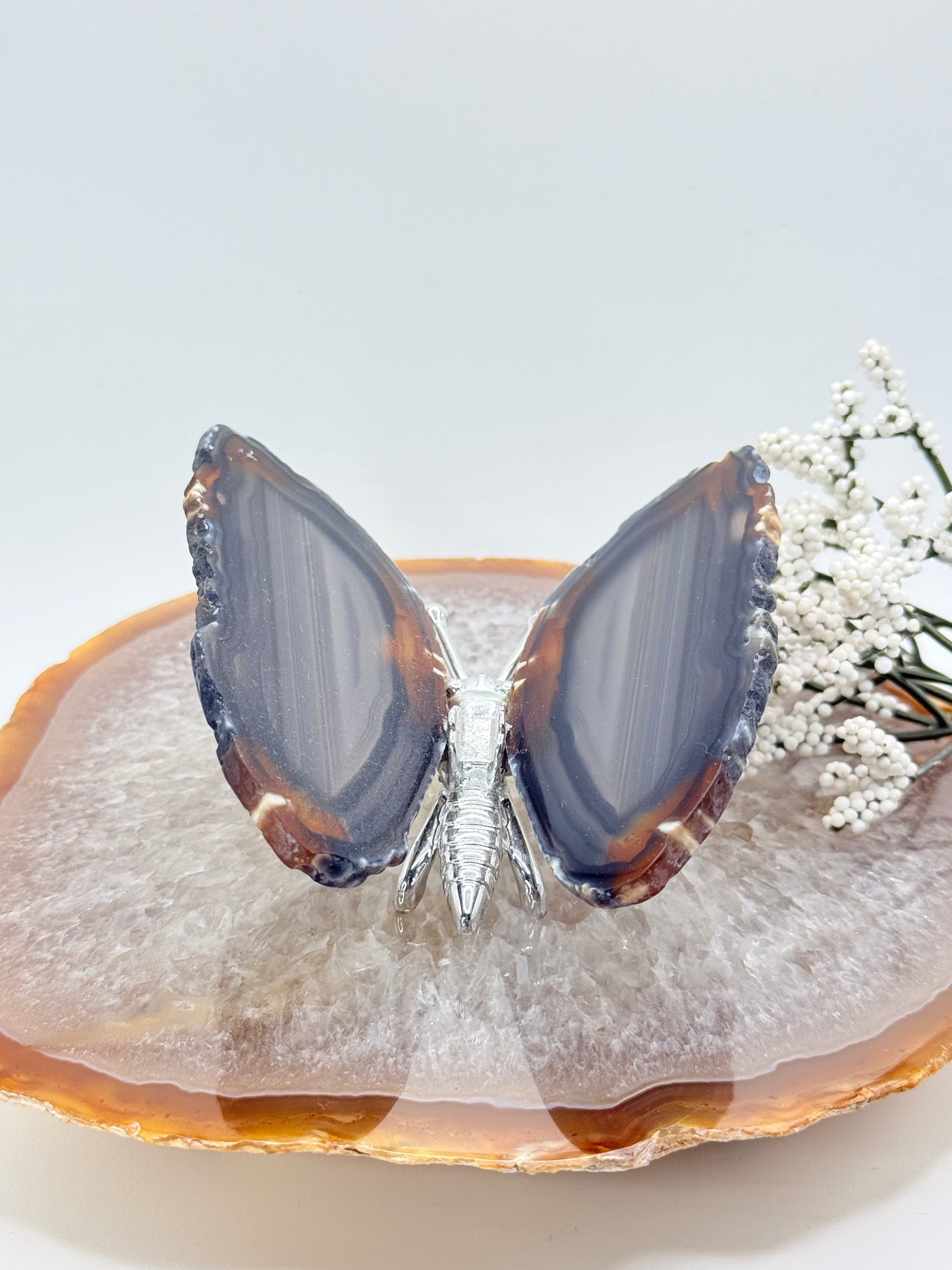 Natural Agate Slice Butterfly – Brazilian Crystal Art Piece - Auralis Crystals