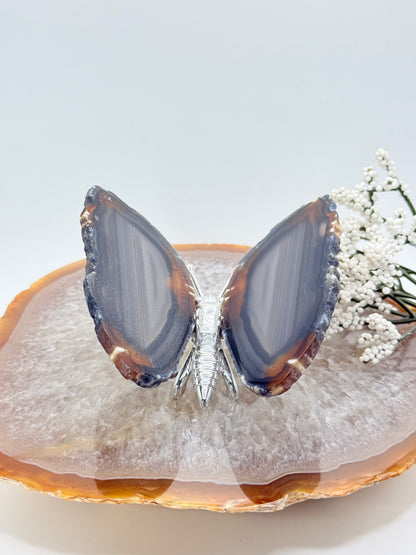 Natural Agate Slice Butterfly – Brazilian Crystal Art Piece - Auralis Crystals