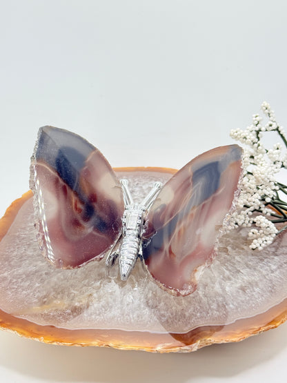 Natural Agate Slice Butterfly – Brazilian Crystal Art Piece - Auralis Crystals