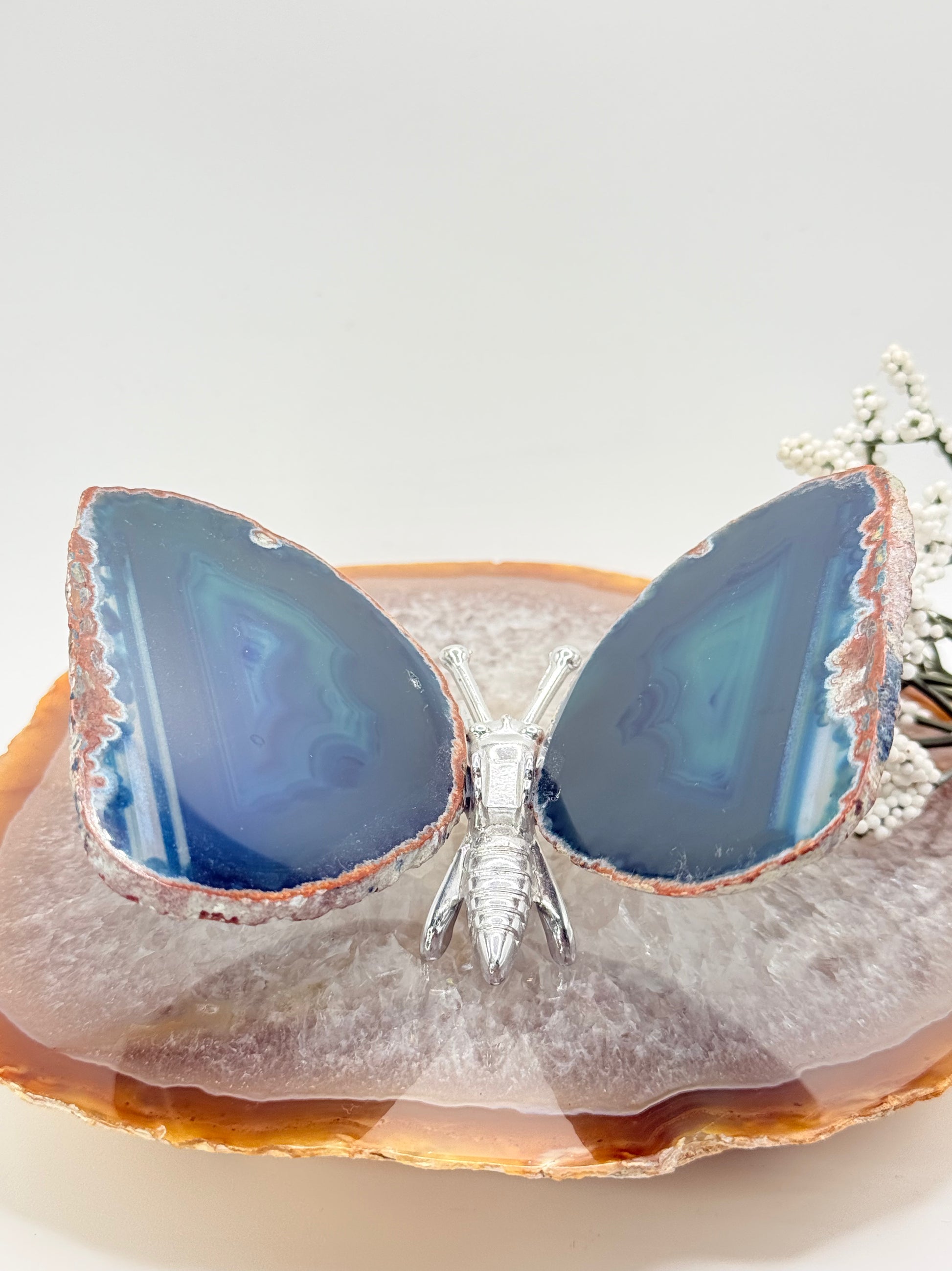 Natural Agate Slice Butterfly – Brazilian Crystal Sculpture - Auralis Crystals