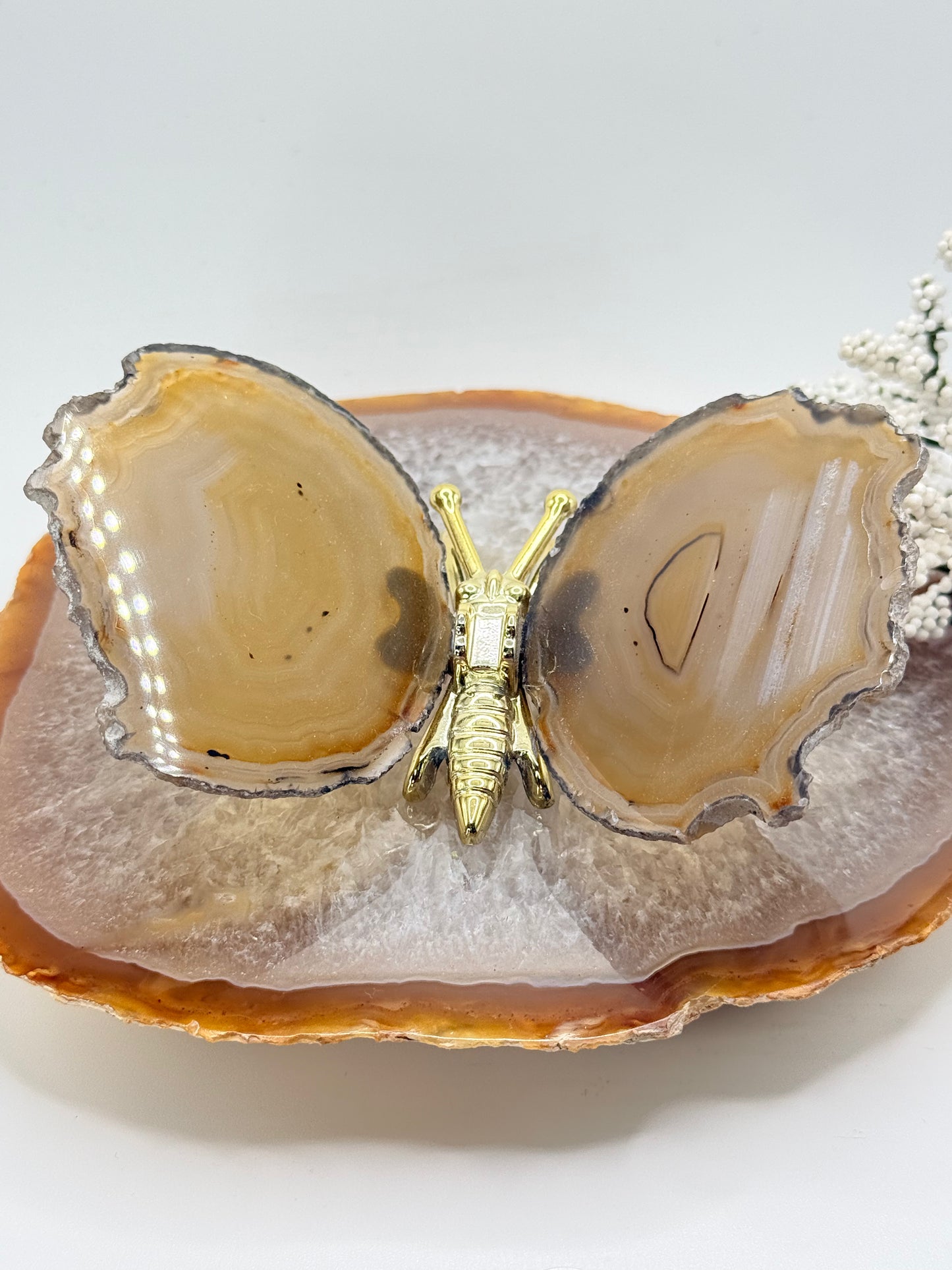 Natural Agate Slice Butterfly – Brazilian Crystal Objet d’Art - Auralis Crystals