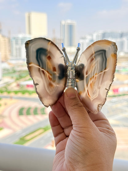 Natural Agate Slice Butterfly – Brazilian Crystal Art Piece - Auralis Crystals