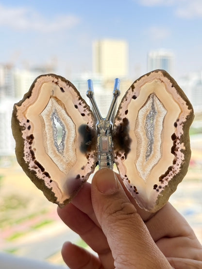 Natural Agate Slice Butterfly – Brazilian Crystal for Home Decor & Energy - Auralis Crystals