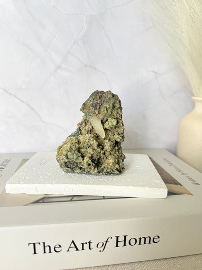 Forest Green Chalcedony with Dogtooth Calcite Raw Specimen (Jalgaon Mine, Maharashtra, India)