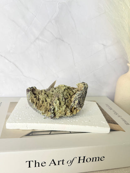 Forest Green Chalcedony with Dogtooth Calcite Raw Specimen (Jalgaon Mine, Maharashtra, India)