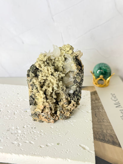 Forest Green Chalcedony with Dogtooth Calcite Raw Specimen (Jalgaon Mine, Maharashtra, India)