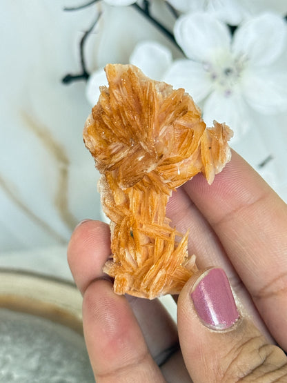 Natural Pink Bladed Barite with Vanadinite Crystal Specimen | Rare Mineral Collector's Piece