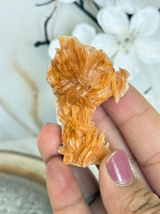 Natural Pink Bladed Barite with Vanadinite Crystal Specimen | Rare Mineral Collector's Piece