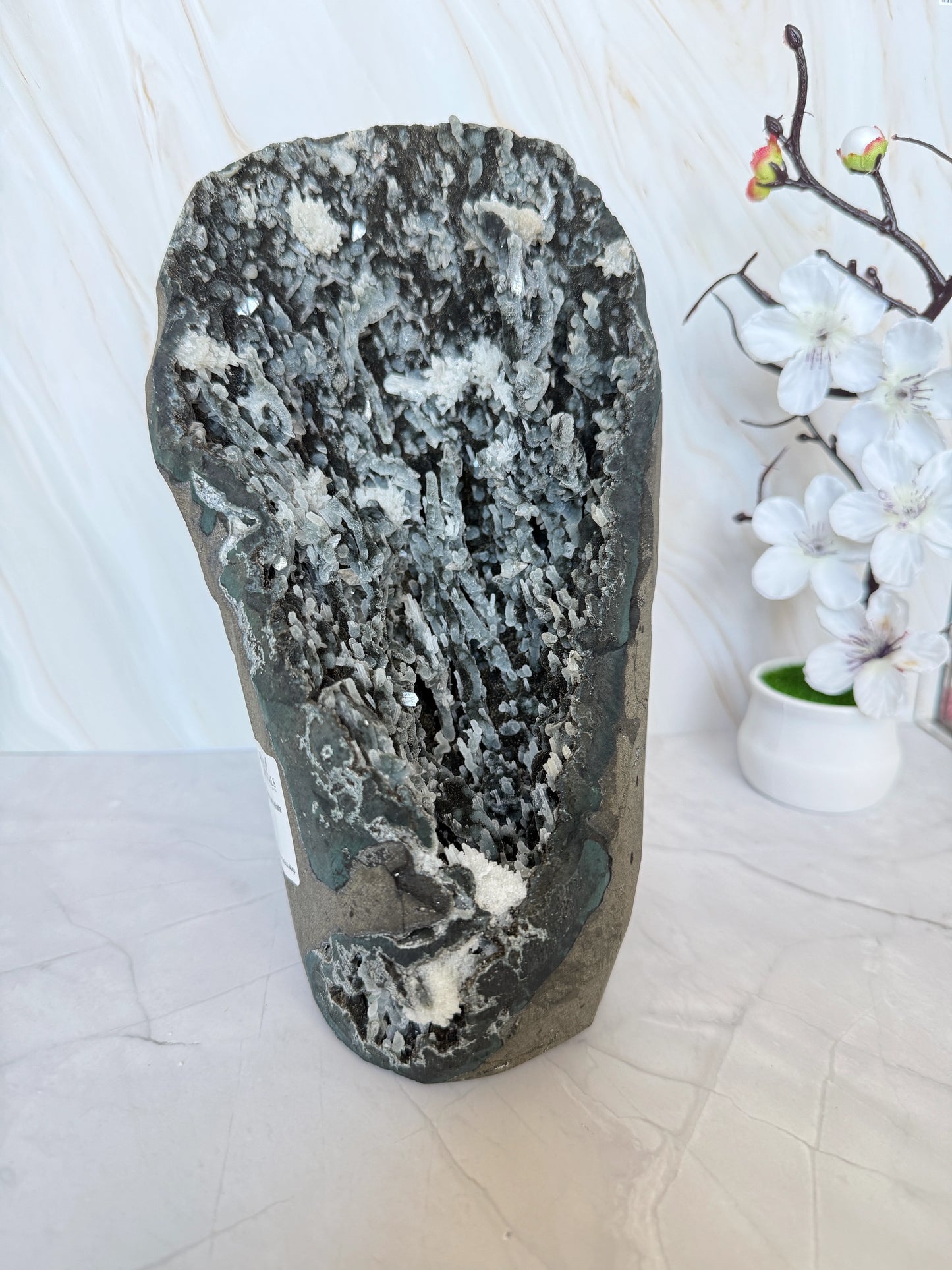 Black Chalcedony Geode with White Prehnite & Apophyllite Crystal Growths | Large Rare Specimen