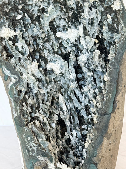 Black Chalcedony Geode with White Prehnite & Apophyllite Crystal Growths | Large Rare Specimen