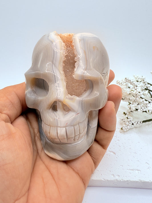 Hand Carved Gray Agate Skull Carving with Druzy