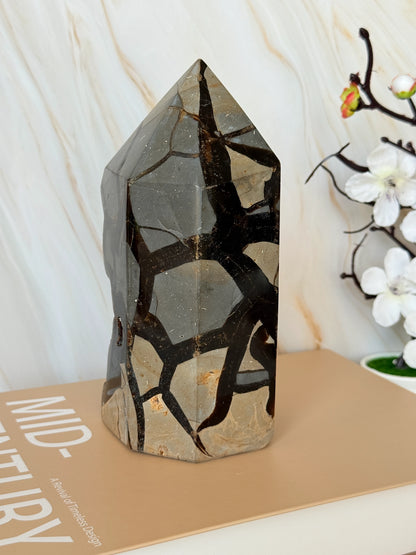 Chunky Septarian Tower with Full Druzy Face | Rare One-of-a-Kind Dragon Stone | 18cm