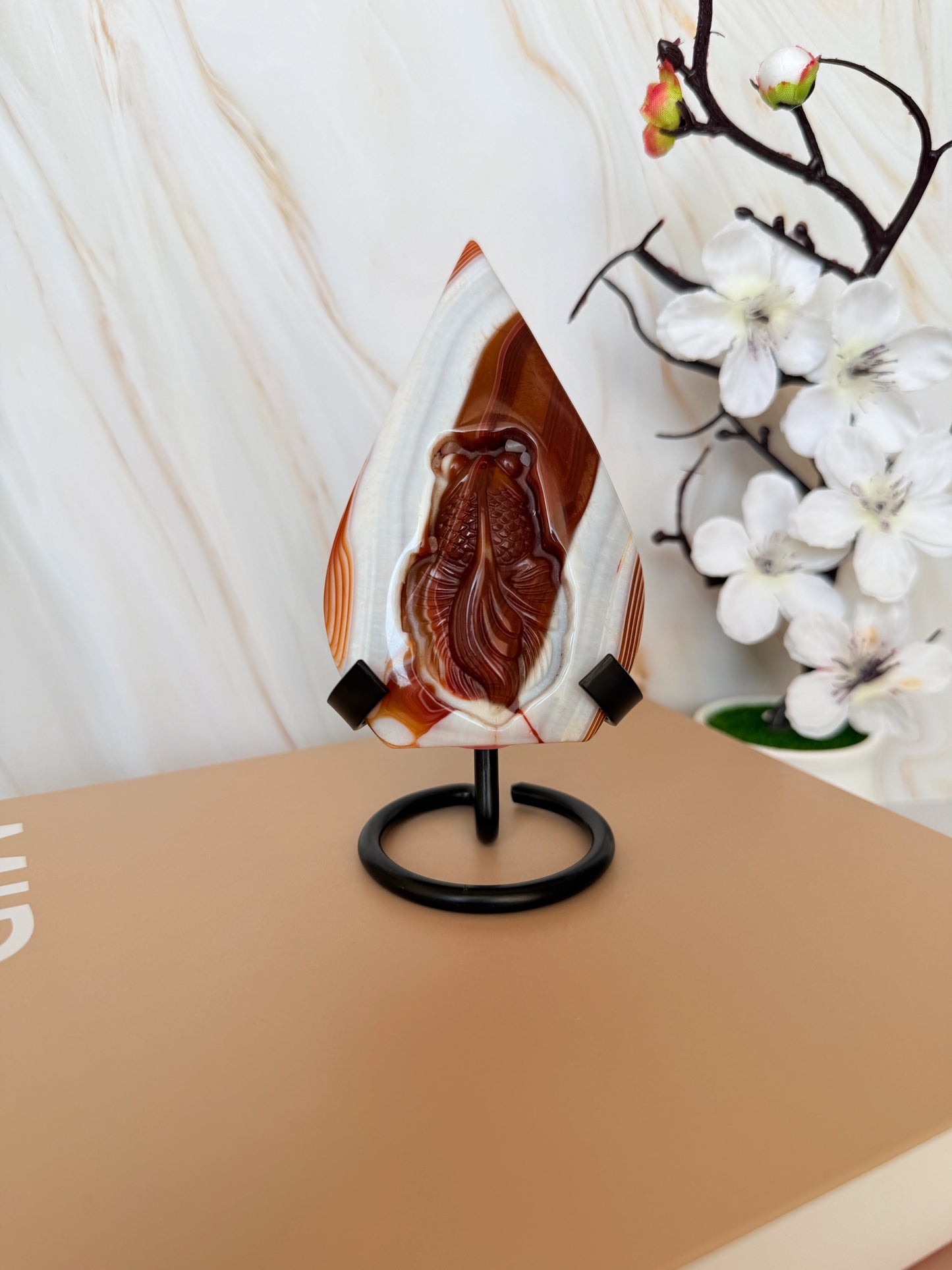 Carnelian Goldfish Carving | Banded Teardrop Flame | Polished | 10.5cm | China