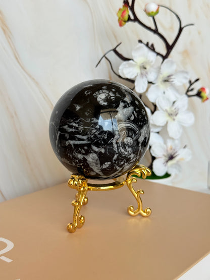 Fossil Stone Sphere | Ancient Marine Fossils | Polished | 7cm | Madagascar