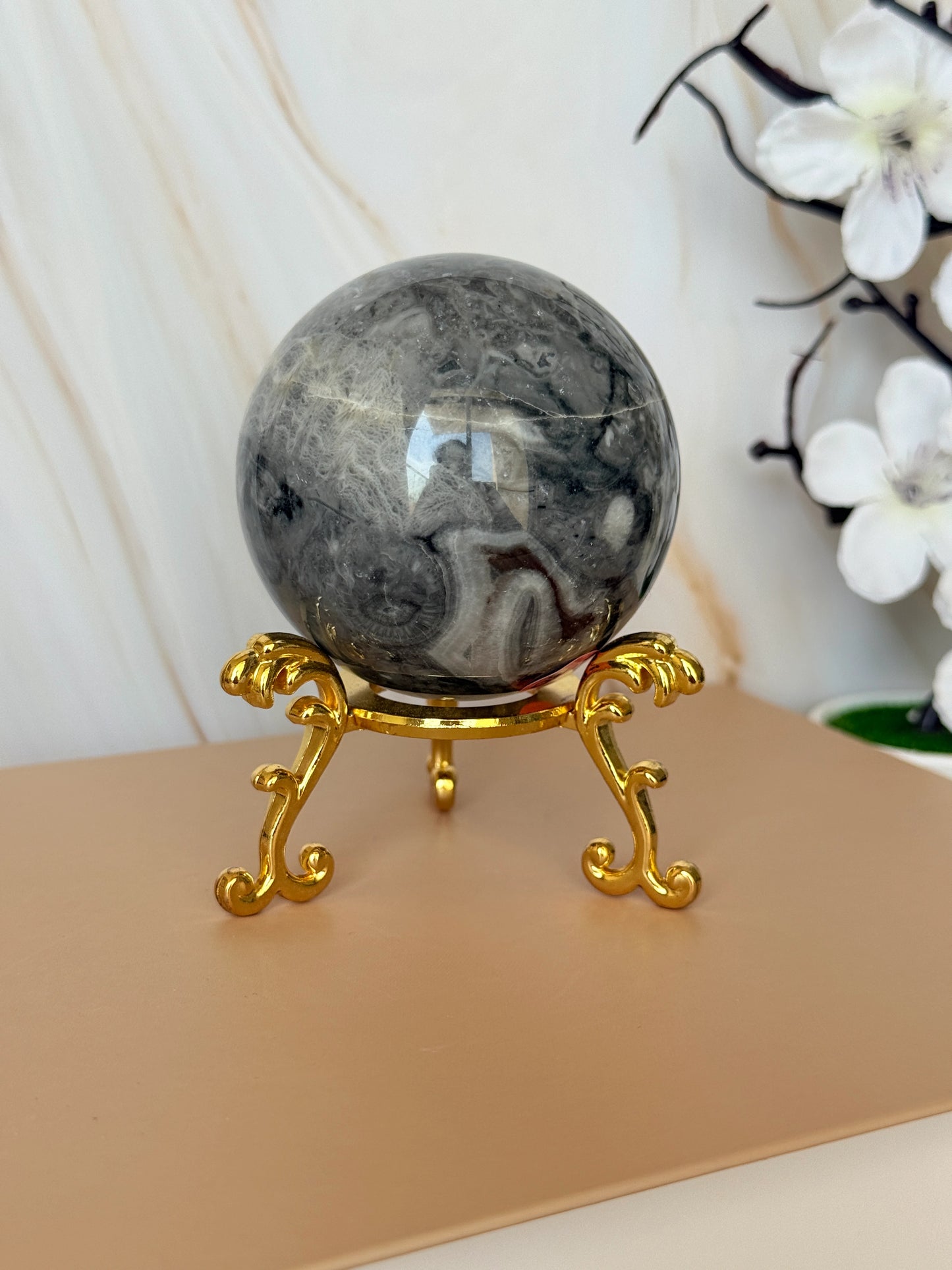 Grey Shellstone Sphere | Polished | Cellular Patterns | 6cm | China