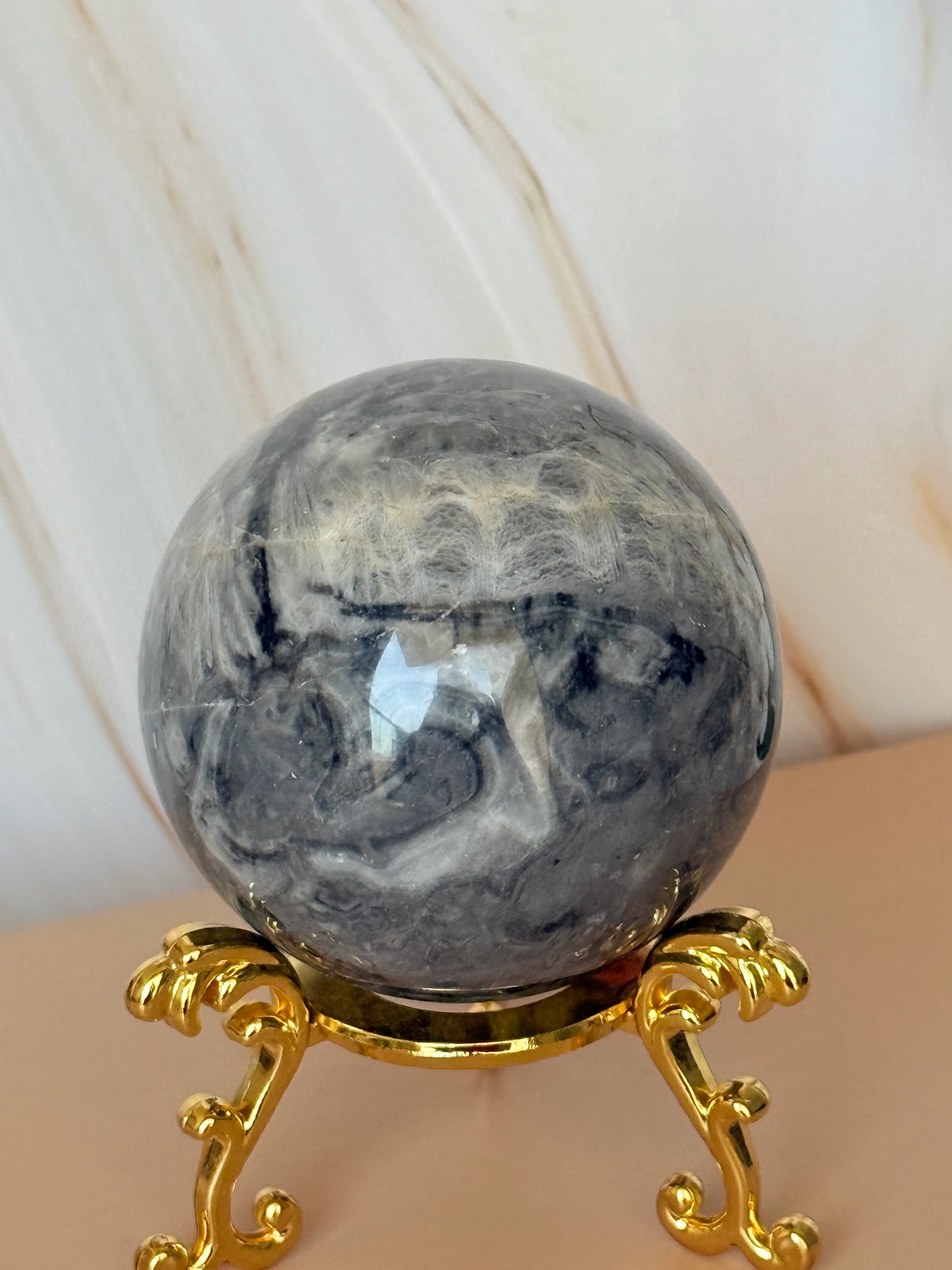Grey Shellstone Sphere | Polished | Cellular Patterns | 6cm | China
