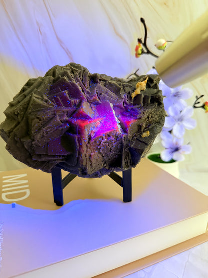 Black Fluorite Specimen | Rare Red UV Fluorescence | Raw | 18.5cm | Pakistan