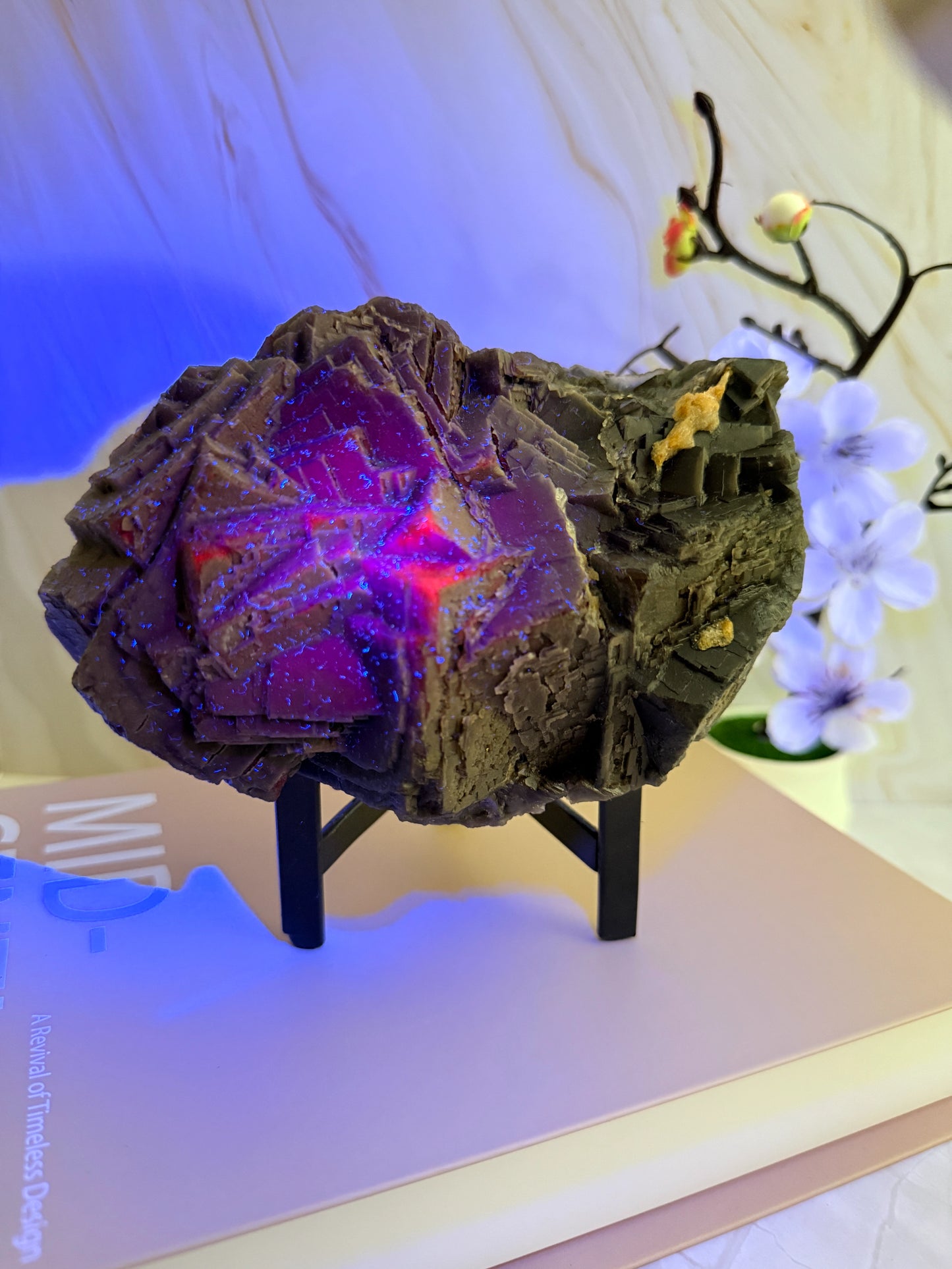 Black Fluorite Specimen | Rare Red UV Fluorescence | Raw | 18.5cm | Pakistan