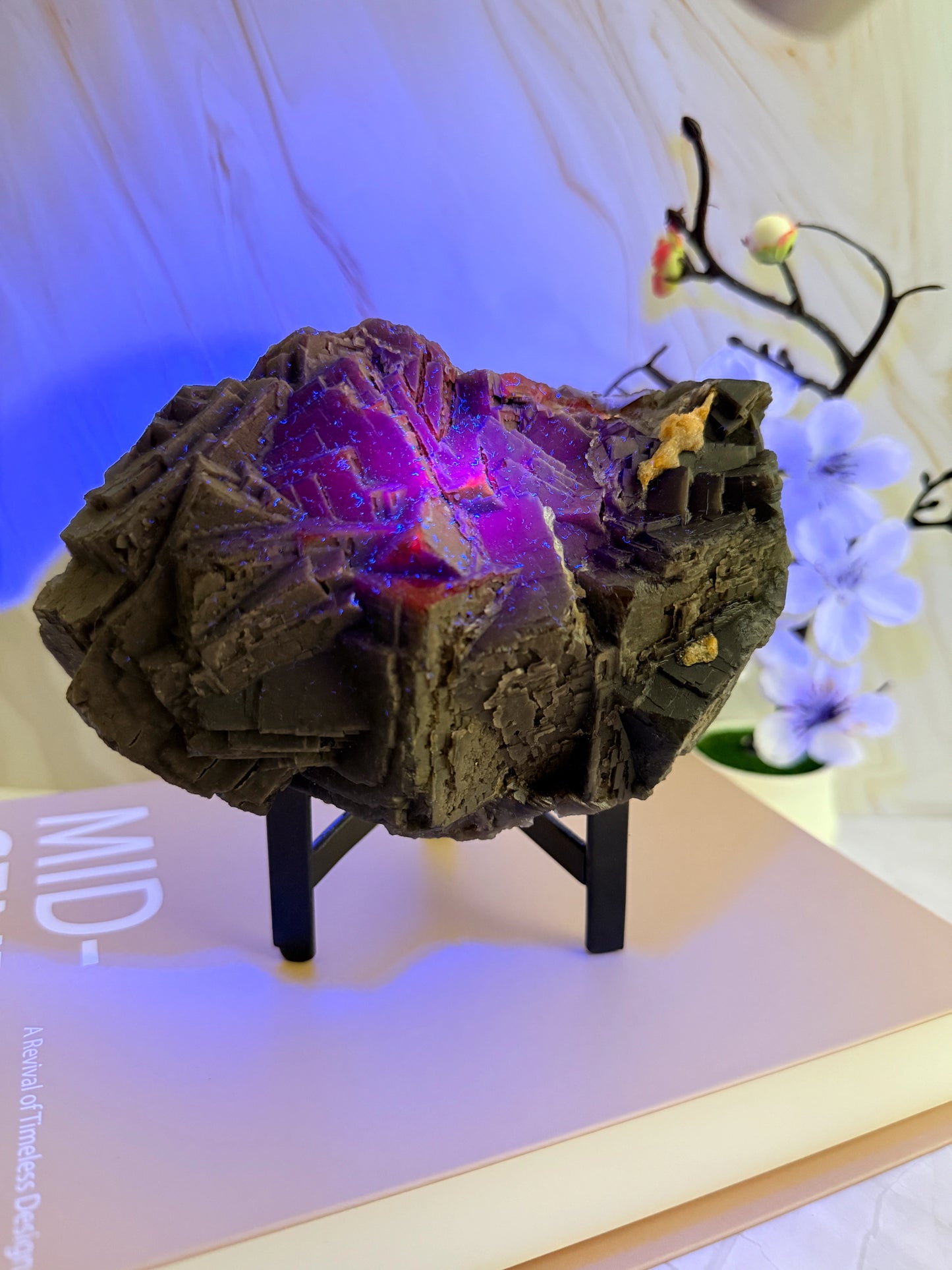 Black Fluorite Specimen | Rare Red UV Fluorescence | Raw | 18.5cm | Pakistan
