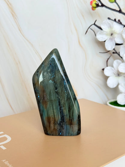 Flashy Labradorite Freeform | Electric Blue & Gold Flash | Polished | Madagascar