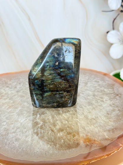 Flashy Labradorite Freeform | Electric Blue & Gold Flash | Polished | Madagascar