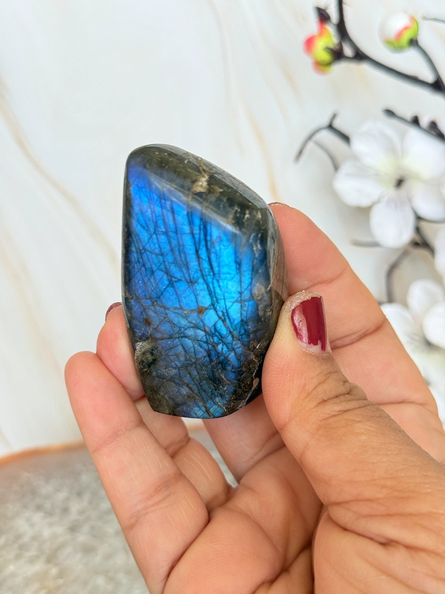 Flashy Labradorite Freeform | Electric Blue & Gold Flash | Polished | Madagascar