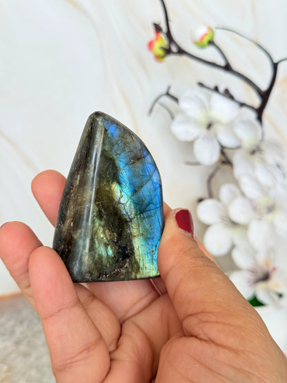 Flashy Labradorite Freeform | Electric Blue & Gold Flash | Polished | Madagascar