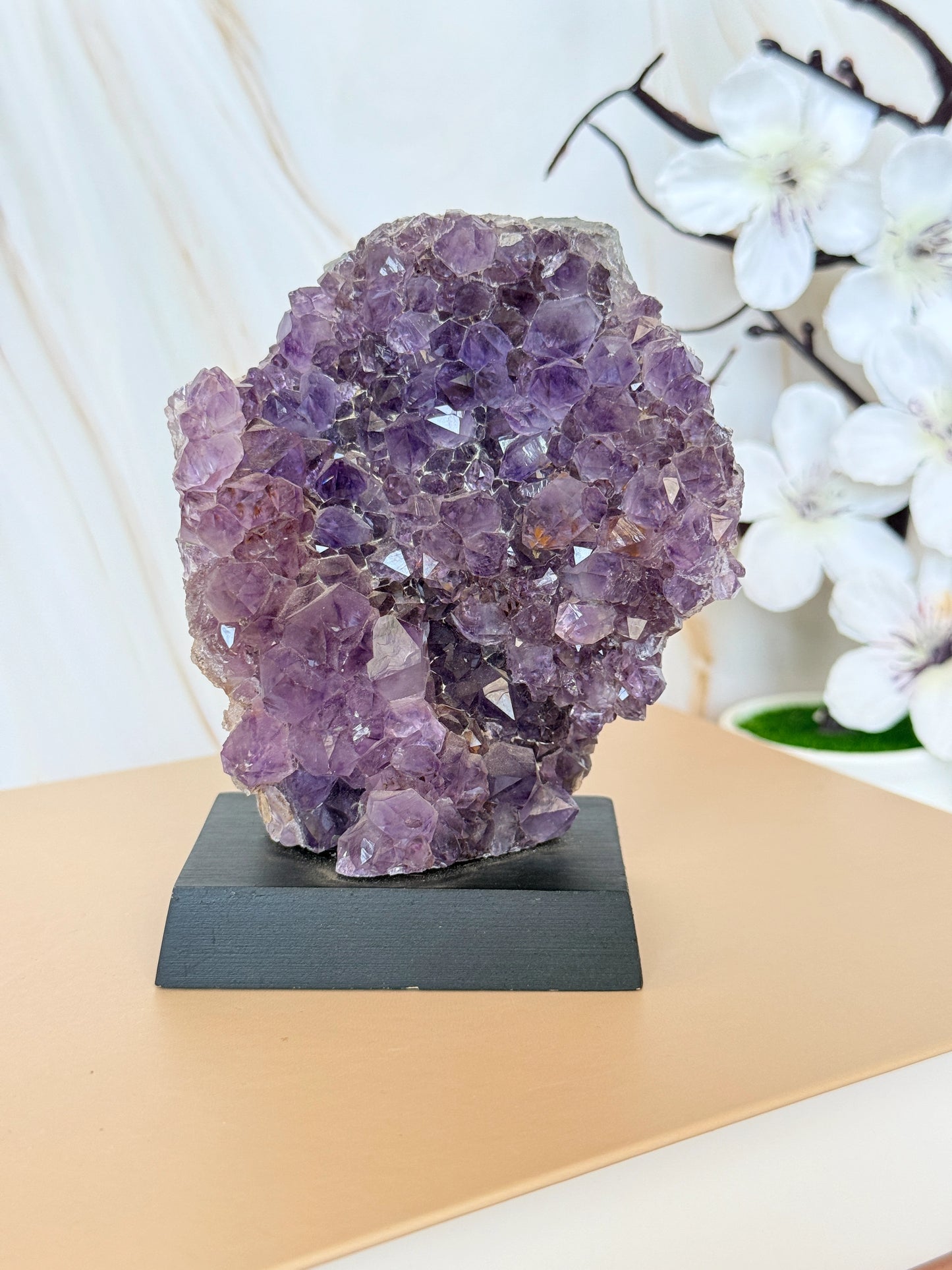 Brazilian Amethyst Cluster on Wooden Base | Raw | One of a Kind | 11–14cm
