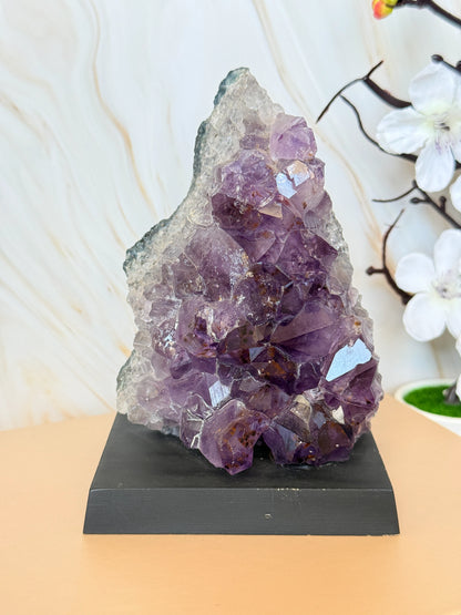 Brazilian Amethyst Cluster on Wooden Base | Raw | One of a Kind | 11–14cm