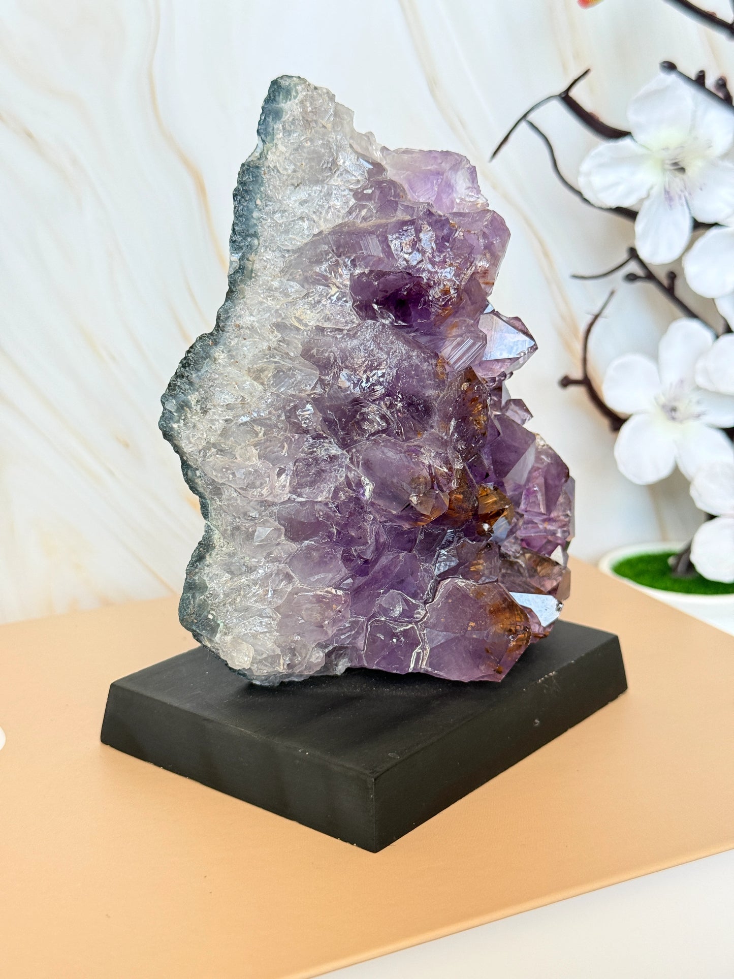 Brazilian Amethyst Cluster on Wooden Base | Raw | One of a Kind | 11–14cm