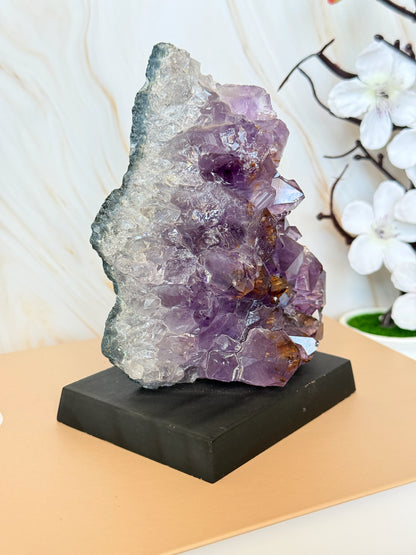 Brazilian Amethyst Cluster on Wooden Base | Raw | One of a Kind | 11–14cm