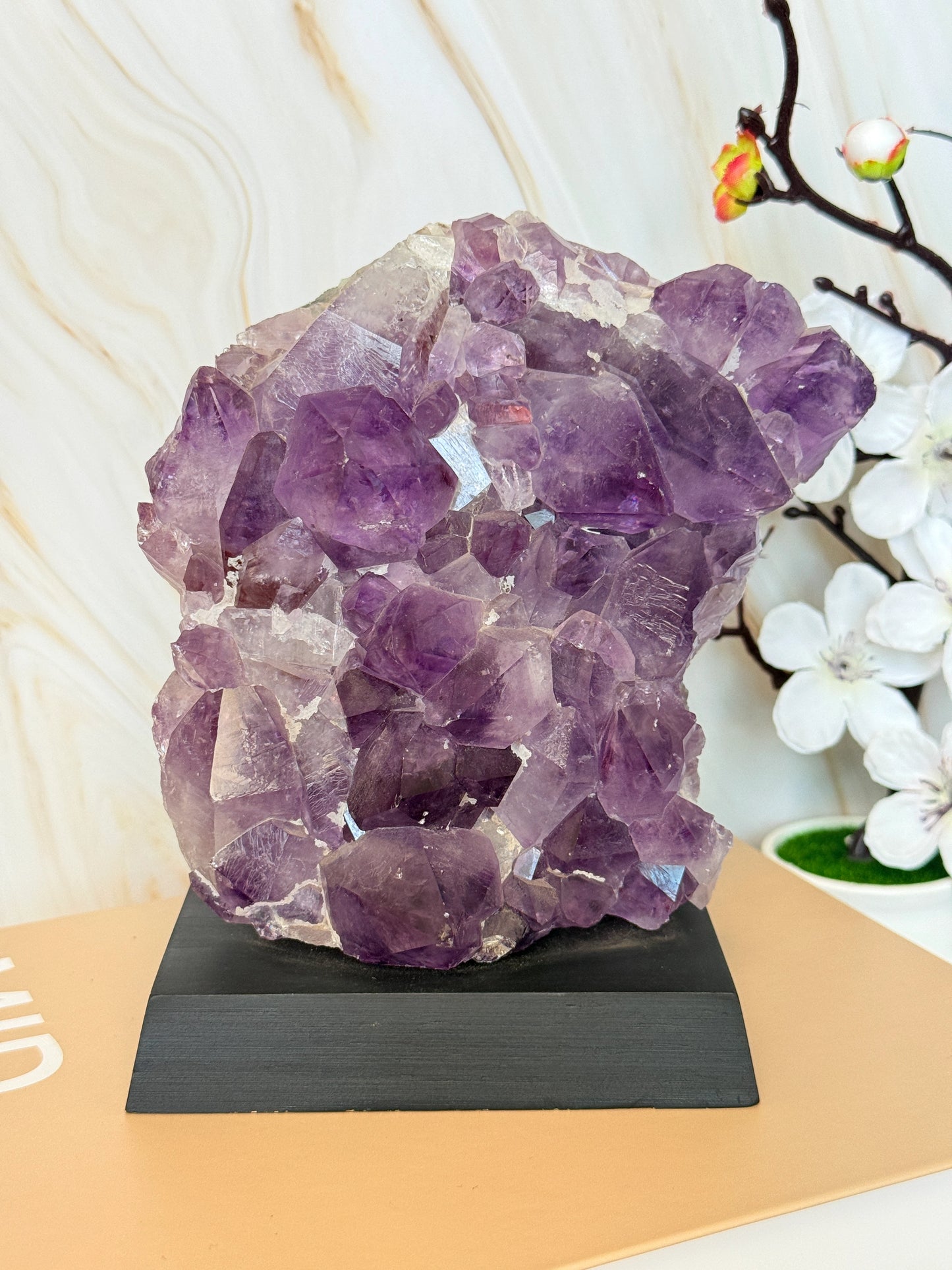 Brazilian Amethyst Cluster on Wooden Base | Raw | One of a Kind | 11–14cm