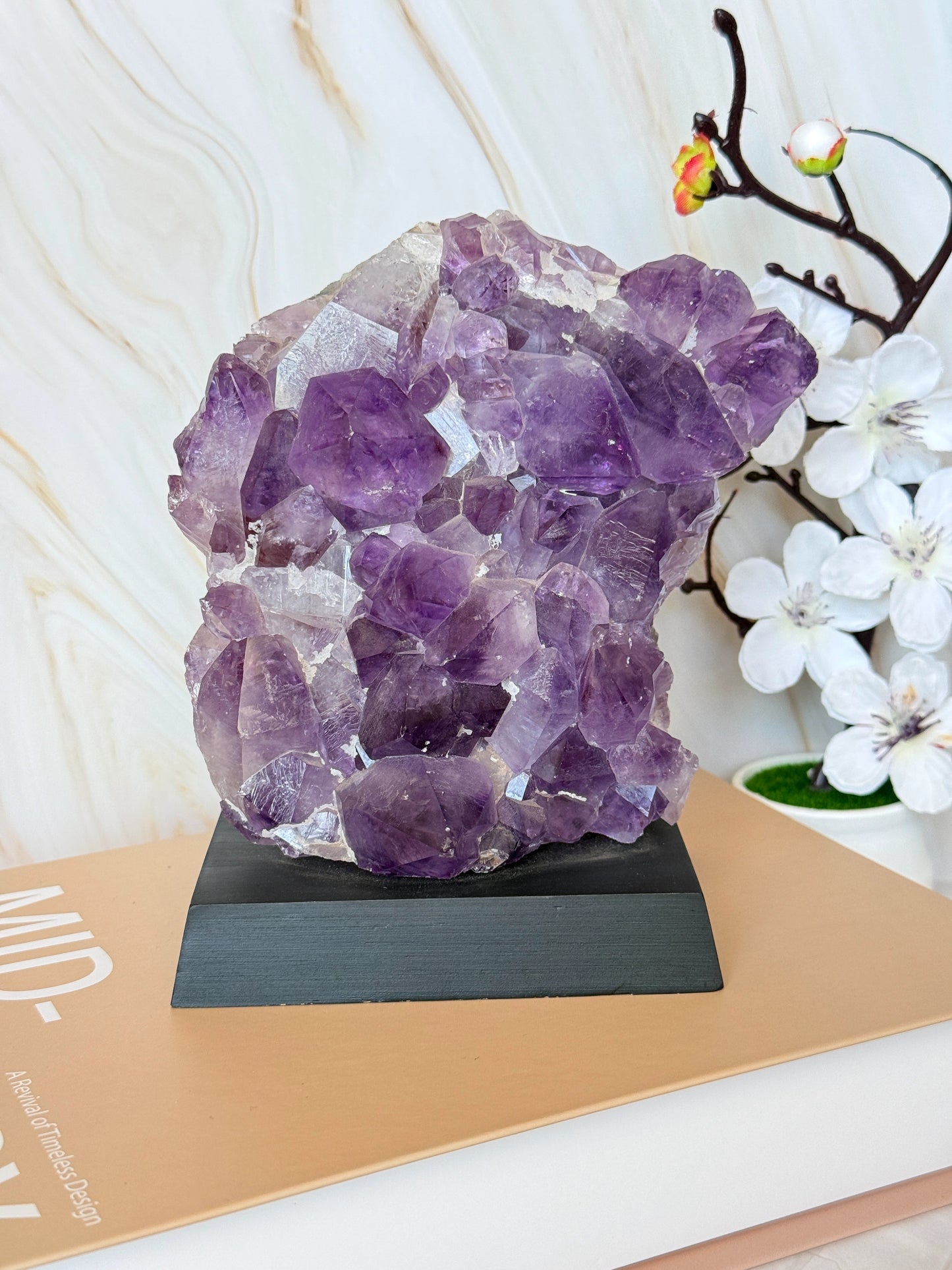 Brazilian Amethyst Cluster on Wooden Base | Raw | One of a Kind | 11–14cm
