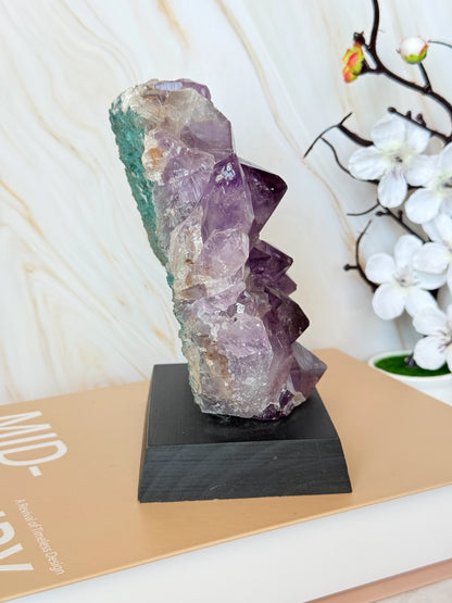 Brazilian Amethyst Cluster on Wooden Base | Raw | One of a Kind | 11–14cm