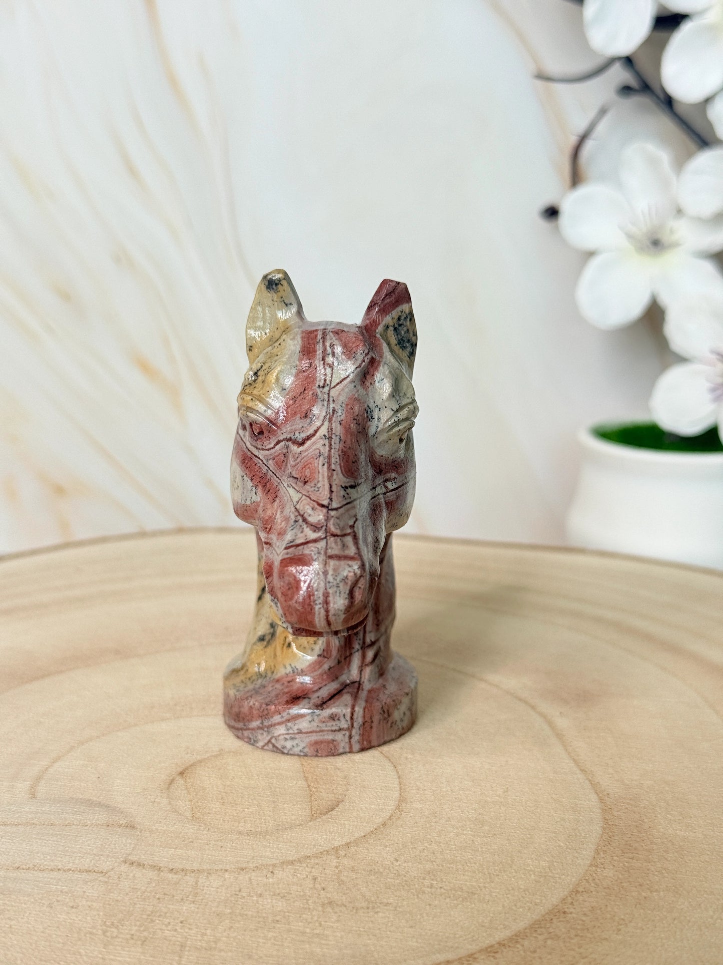 Picture Jasper Horse | Strength & Freedom | Crystal Carving