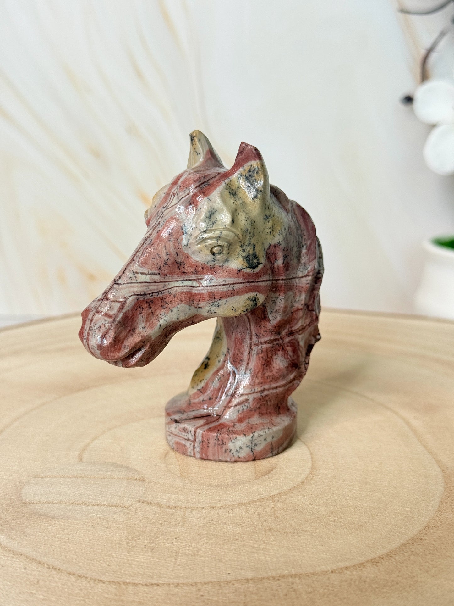 Picture Jasper Horse | Strength & Freedom | Crystal Carving