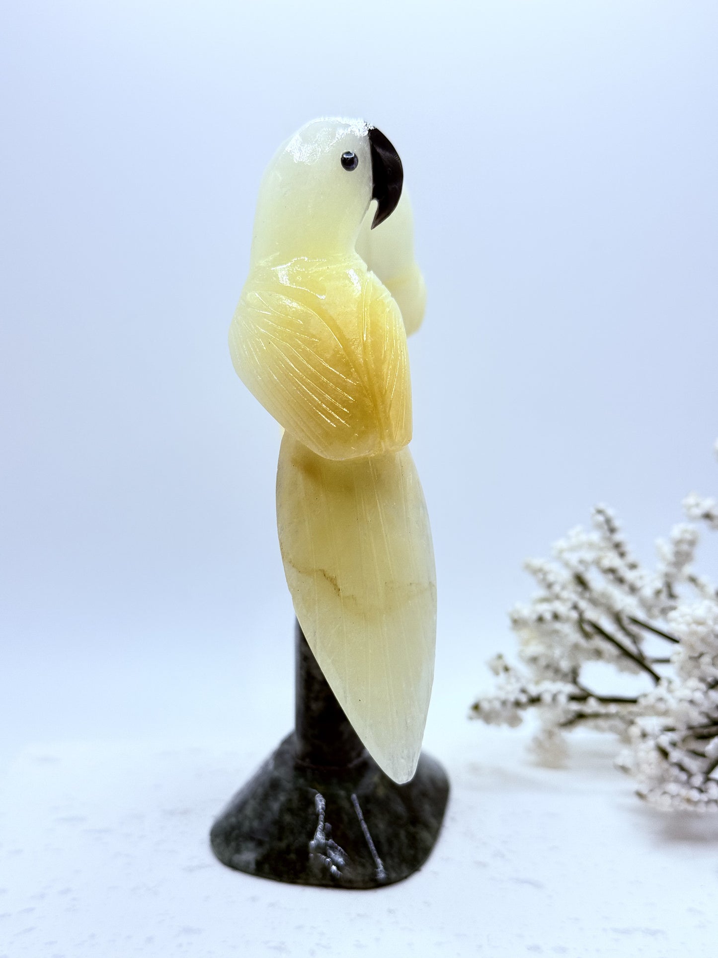 Parrot Carvings in Calcite and Jasper