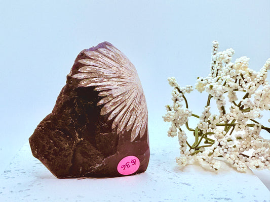 Chrysanthemum Stone Raw Specimen